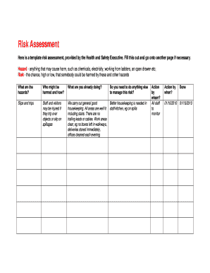 Health and Safety Risk Assessment Form
