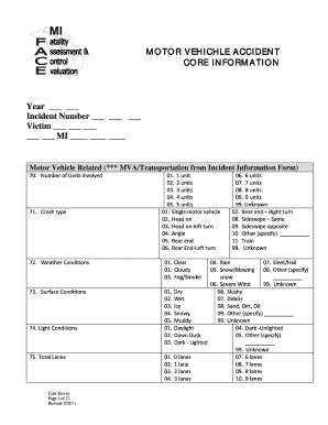 Motor Vehicle Accident Report Form