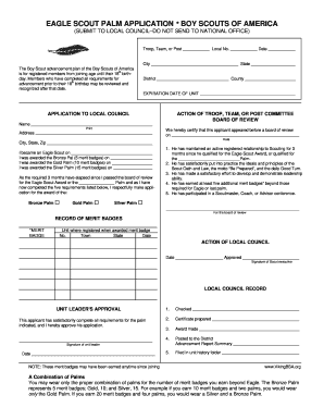 Eagle Scout Palm Application