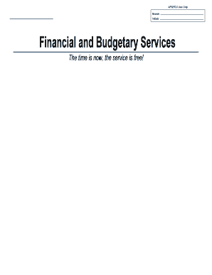 Financial and Budgetary Services Form