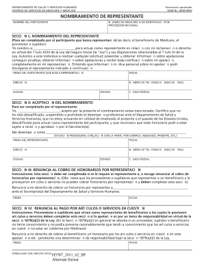 Nombramiento de Representante