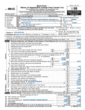 Form 990-EZ 2008