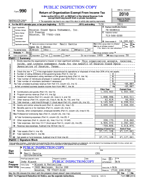 Form 990 2010 Tax Return