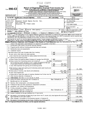 Form 990-EZ Tax Return