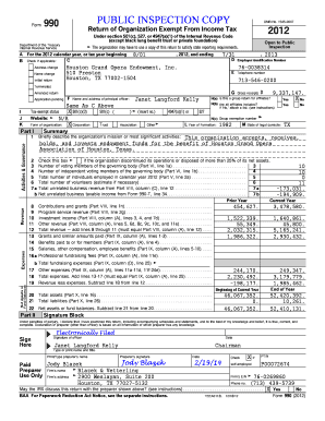 Form 990 2012 Tax Return
