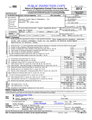 Form 990 2013 Tax Exempt Organization Return