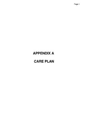 Medical-Surgical Care Plan Template