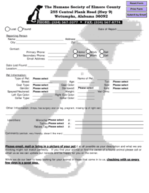 Lost and Found Pet Report Form
