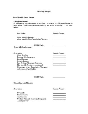 Monthly Budget Form