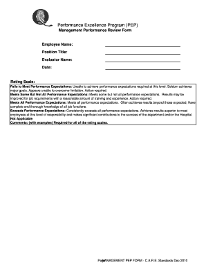 Management Performance Review Form Date