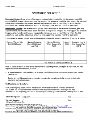 Child Support Information Form