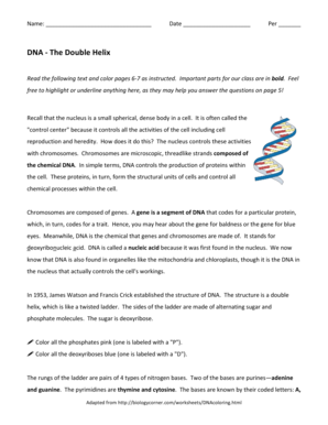 DNA Double Helix Coloring Worksheet