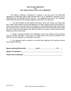 Delaware Bail Bond Addendum