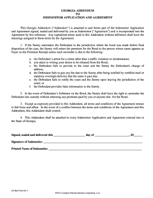 Georgia Addendum to Indemnitor Application and Agreement