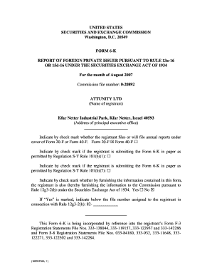 Form 6-K Report