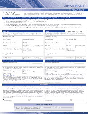 Visa Credit Card Application