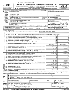 IRS Form 990 2012