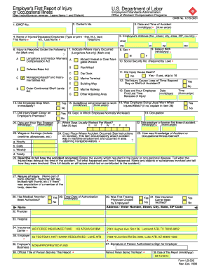 Employer's First Report of Injury or Illness