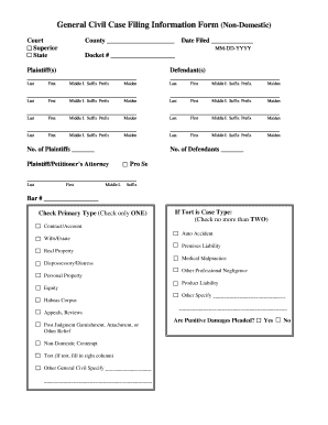 General Civil Case Filing Information Form (Non-Domestic)