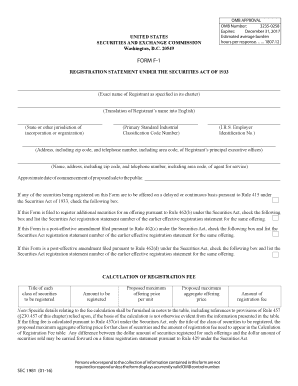 Form F-1 Registration Statement