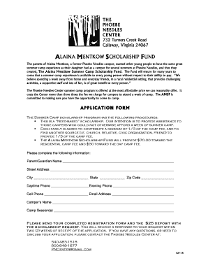 Daily reporting format in excel - scholarship application 13 copydoc - phoebeneedles