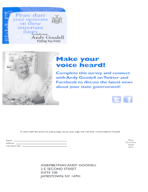 New York State Legislative Survey