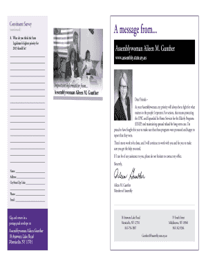 New York State Constituent Survey