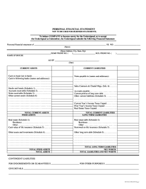 Personal Financial Statement for Indemnity