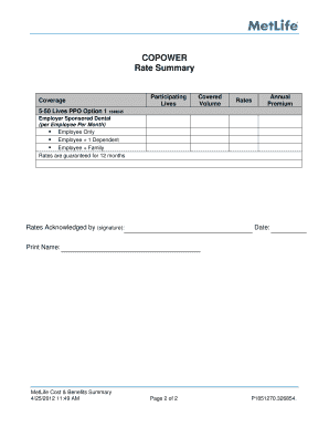 MetLife Employer Sponsored Dental Plan Summary