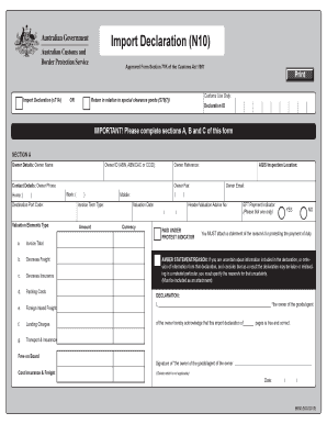 Import Declaration Form N10
