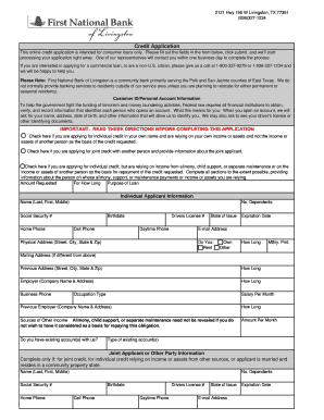 US Consumer Loan Credit Application