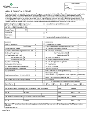 Girl Scout Group Financial Report