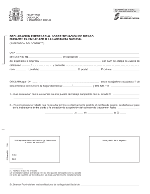 Declaración Empresarial sobre Situación de Riesgo durante el Embarazo o la Lactancia Natural