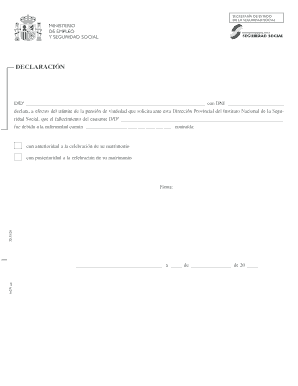 Declaración de Pensión de Viudedad