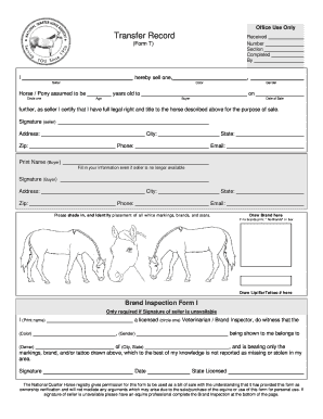 Horse Sale Bill of Sale Form
