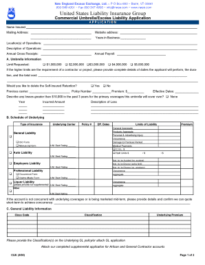 Commercial Umbrella/Excess Liability Application