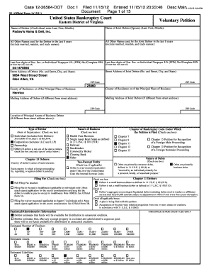 US Bankruptcy Voluntary Petition Form