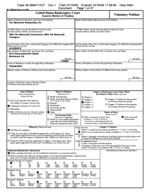 US Bankruptcy Voluntary Petition
