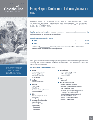 Group Medical Bridge Insurance Plan 2