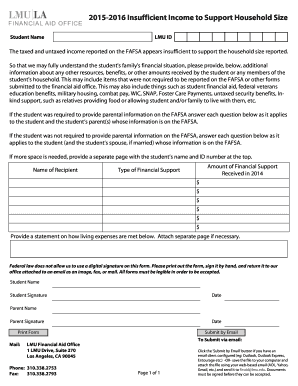 Insufficient Income Verification Form