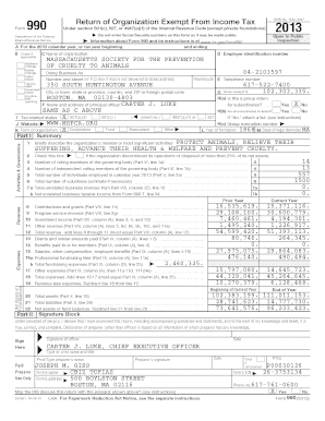 Form 990 2013