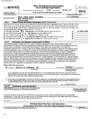 IRS Form 8879-EO Signature Authorization