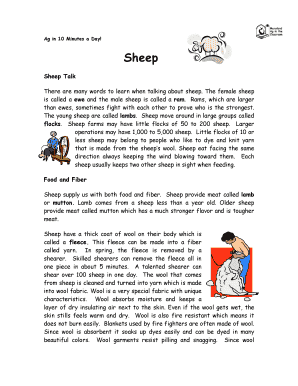 Sheep Reading Comprehension Worksheet