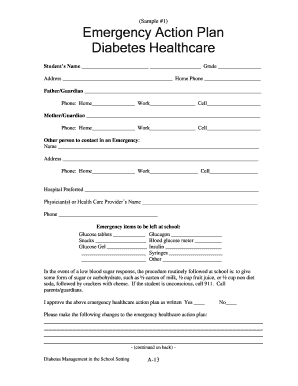 Emergency Action Plan for Diabetes Healthcare