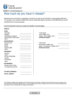 Personal Umbrella Insurance Asset Worksheet
