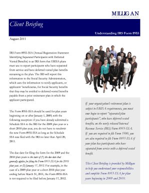 IRS Form 8955-SSA Guide