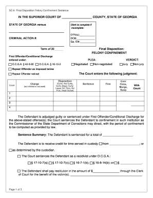 Georgia Felony Confinement Sentence Form