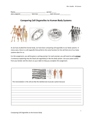 Science Assignment: Cell Organelles Comparison