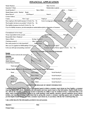 Healthcare Financial Application Form