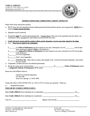Florida Credit Affidavit for Direct Payments